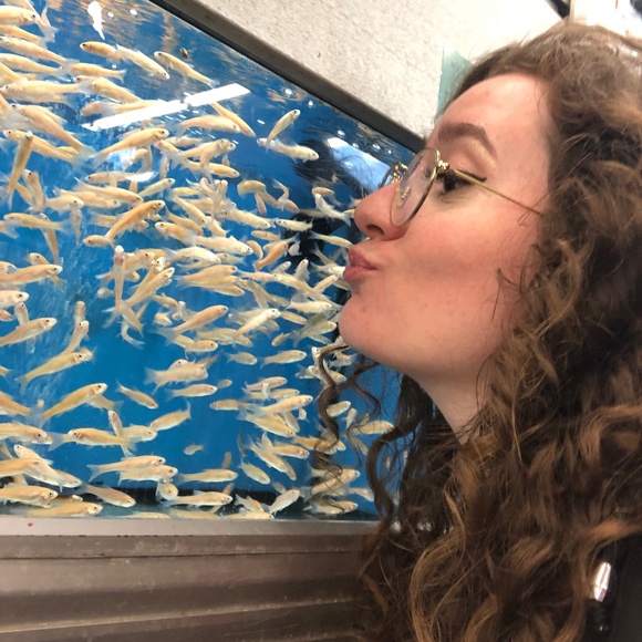 Meet your Posher, Daphne - Picture 1 of 1